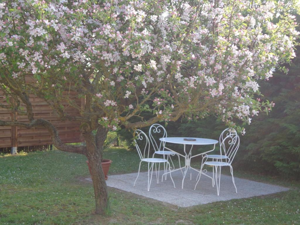 La Grille Doree Амбоаз Екстериор снимка